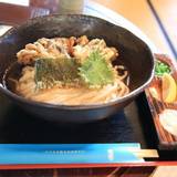 名水うどん 野々傘（メイスイウドンノノサン）