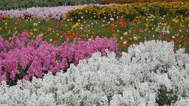 施設の敷地 / 25