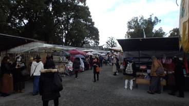 観光スポット / 37