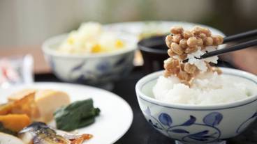 食事・飲み物 / 1