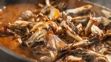 ビュッフェ / 20