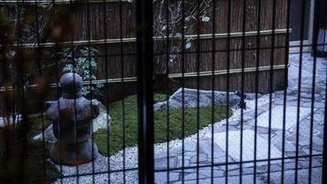 内部エントランス / 3