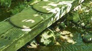 施設の敷地 / 17