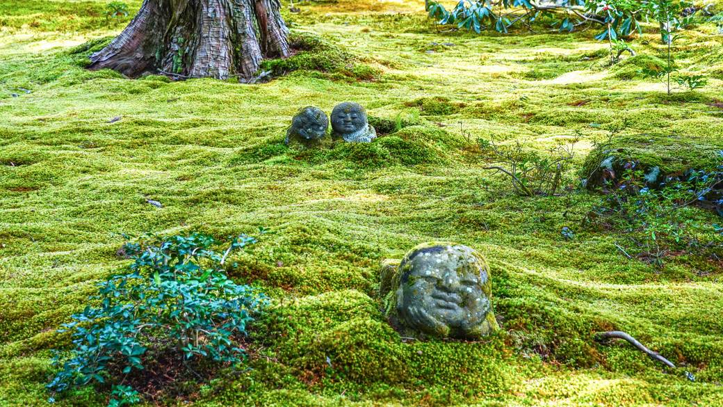 三千院 わらべ地蔵 / 2