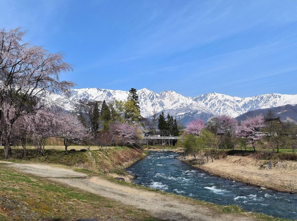 「白馬」へ癒しの旅に出かけませんか？3445456