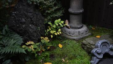 施設からの眺望 / 25