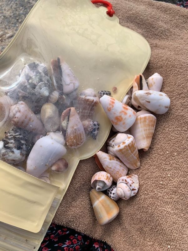 sanomi_tokyoさんの写真 / 1