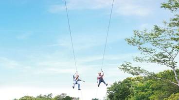 ジップライン / 6