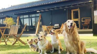 テラス / パティオ / 33