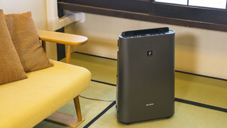 和室 30㎡ (バスルーム付き, 禁煙) (素泊まり)