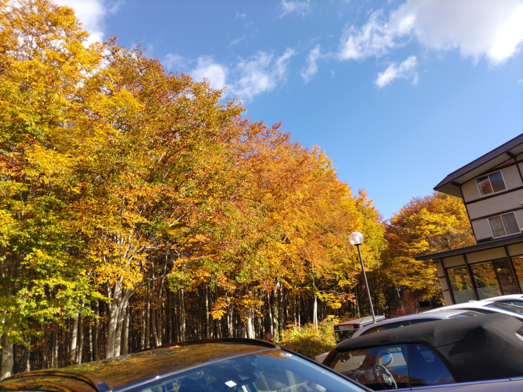 駐車場横からの眺めは最高