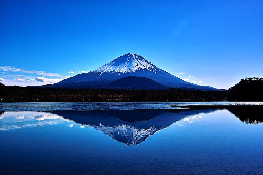 マウンテン ビュー