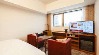 [スカイツリービュー] スーペリアダブル 禁煙 2名利用 10階