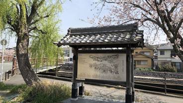 ランド ビュー / 24