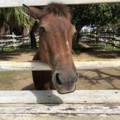 ユインチホテル南城（沖縄県 リゾートホテル） / 3