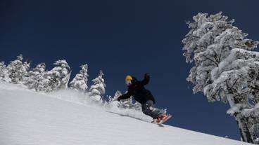 スノー スポーツとスキー / 6