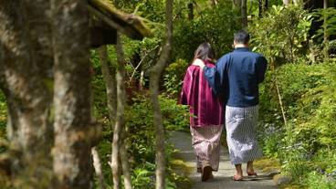 部屋からの景観 / 28