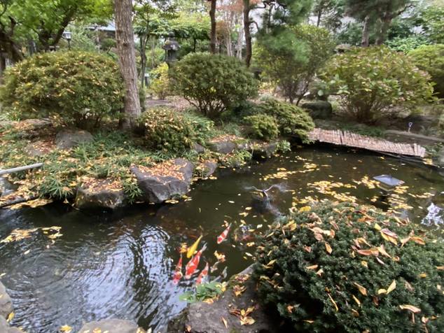 こだわりの日本庭園で
癒しのひと時を / 1