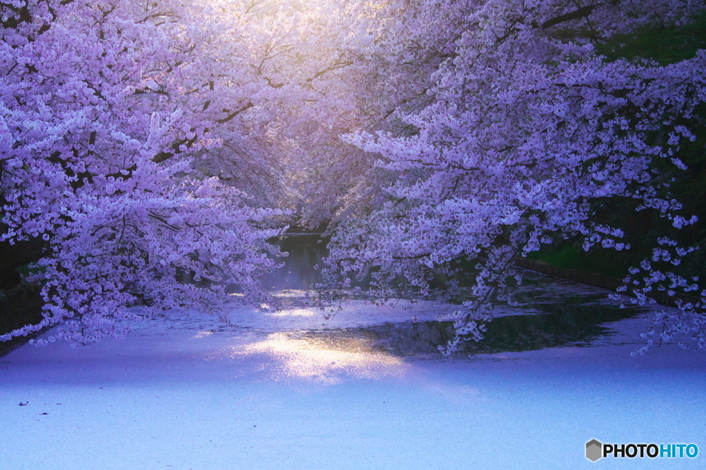 気楽に過ごせる一人旅で、心に癒しを3652966