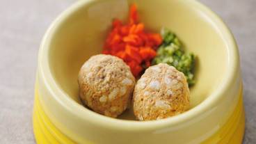 ペット同伴可 / 12