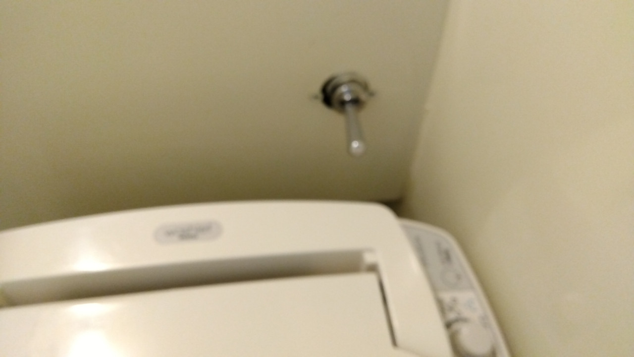 これが、そのレバーです。