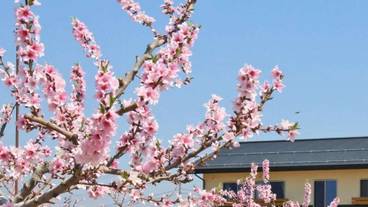 施設の敷地 / 10