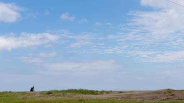 シティ ビュー / 37