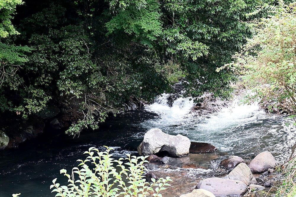 部屋からの景観