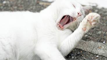 施設の敷地 / 23