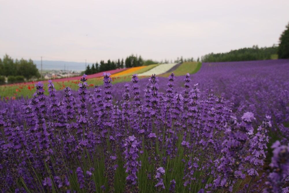 施設からの眺望