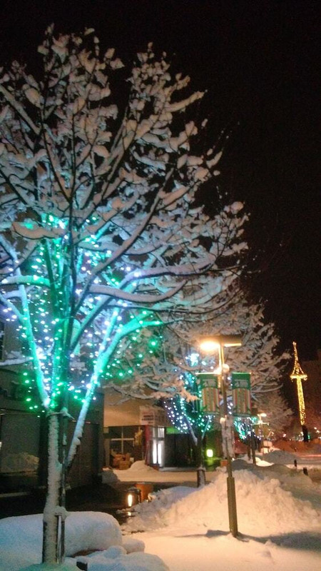 施設からの眺望