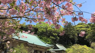 観光スポット / 9