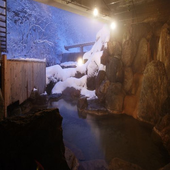 秘境の静かな雪見温泉3438289