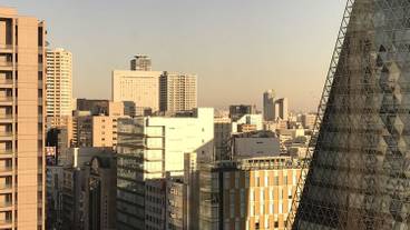 部屋からの景観 / 31