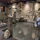 天然温泉 つつじの湯 ドーミーインEXPRESS豊橋（愛知県 ビジネスホテル） / 4