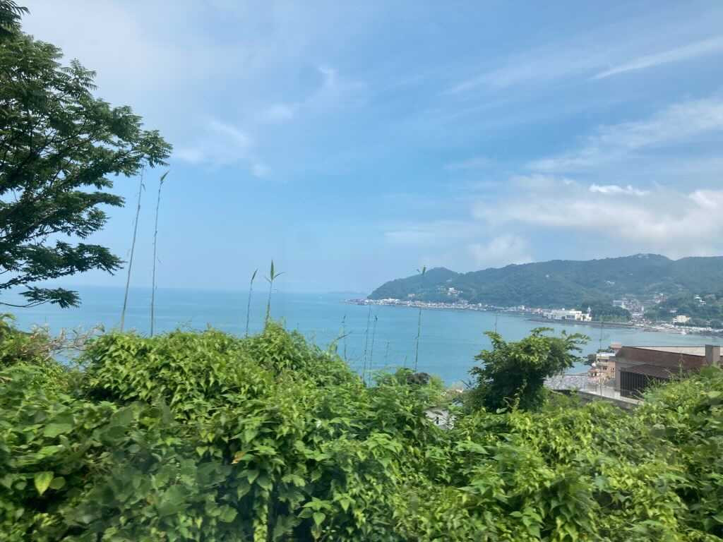 manami_y311さんの写真 / 2