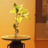 大地の彩 花月亭（静岡県 旅館） / 3