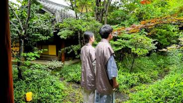 日本庭園 / 29