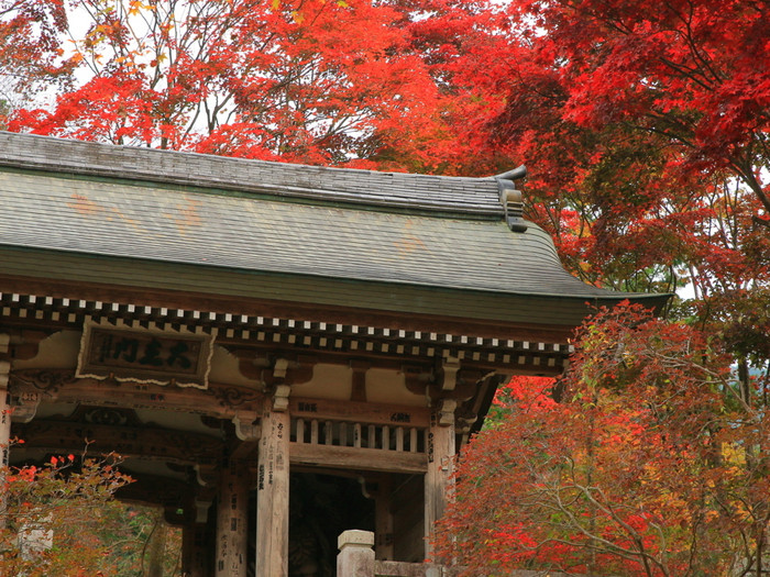 「鳥居観音」境内には三蔵塔、鐘楼堂、納経堂などもあり、山頂の大観音まで散策するとちょうどいいエクササイズに
