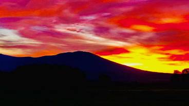 施設の敷地 / 30