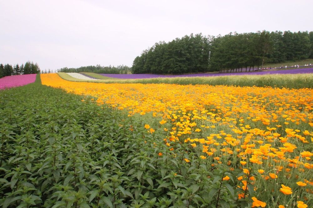 施設からの眺望