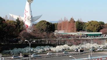 観光スポット / 8