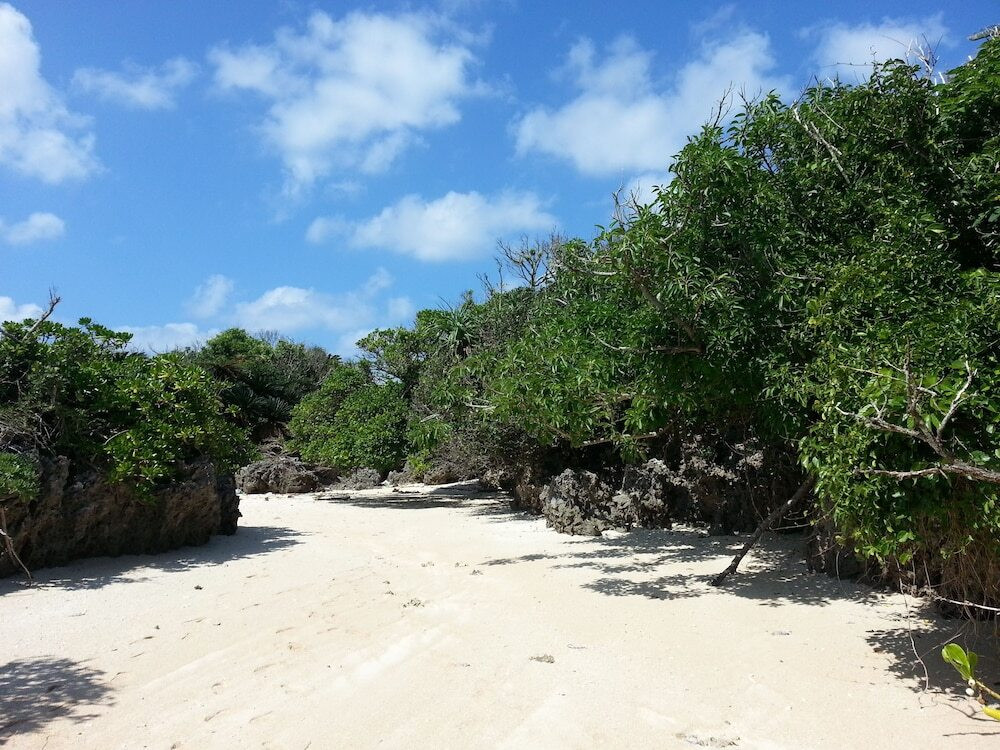 施設からの眺望