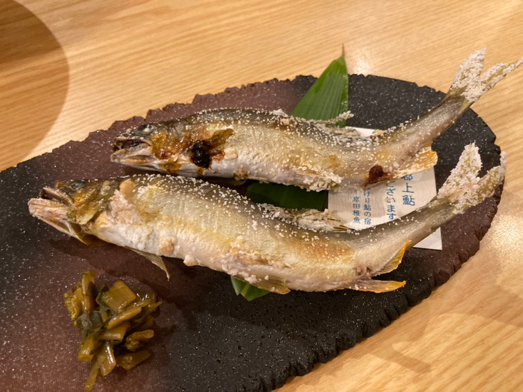 「吉田屋 美濃錦」 料理 156155297