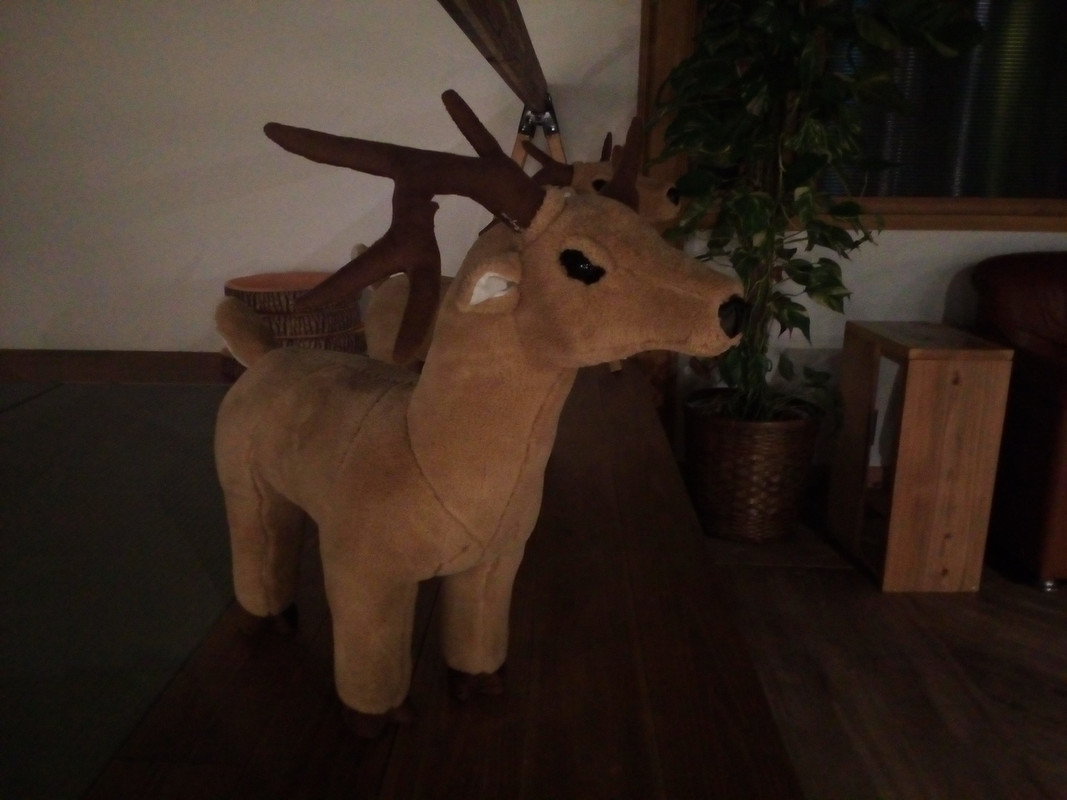 奈良らしくシカ