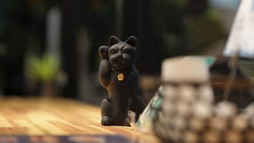 内装の詳細 / 12