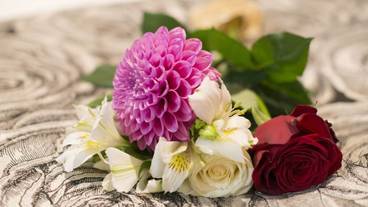 客室の設備とサービス / 12