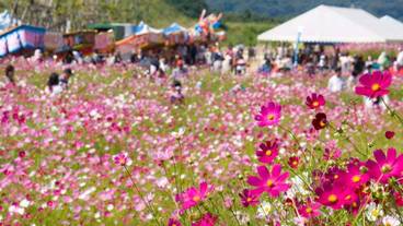 ランド ビュー / 13