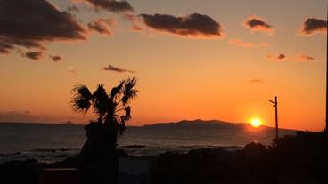 施設からの眺望 / 6