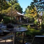 心静まるお茶の時間。東京の寺カフェや神社カフェ5選